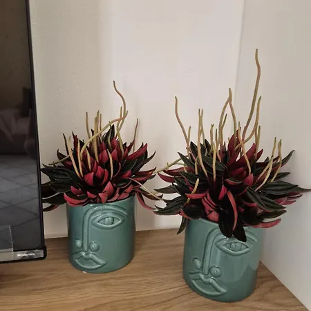 Appartement A Casa Di Nonna Catánia